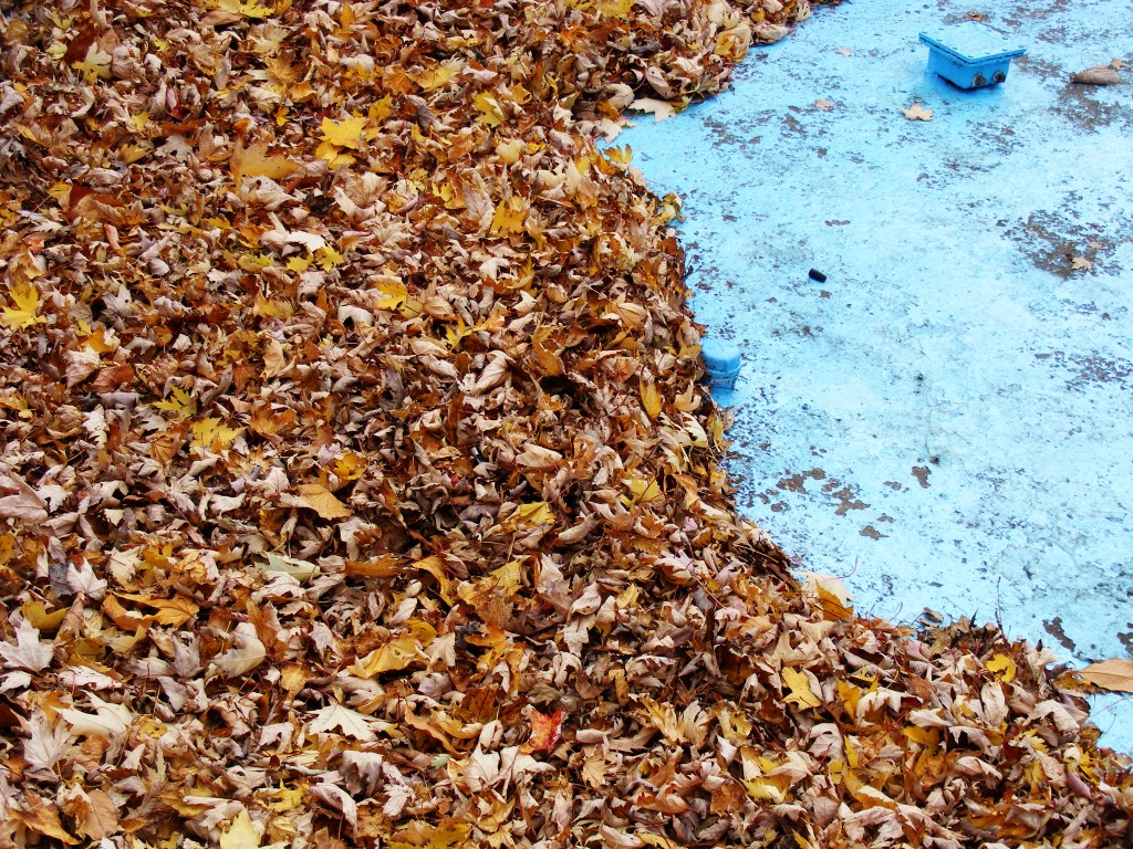 Discovering Little Burgundy: Untapped&nbsp;Outtakes