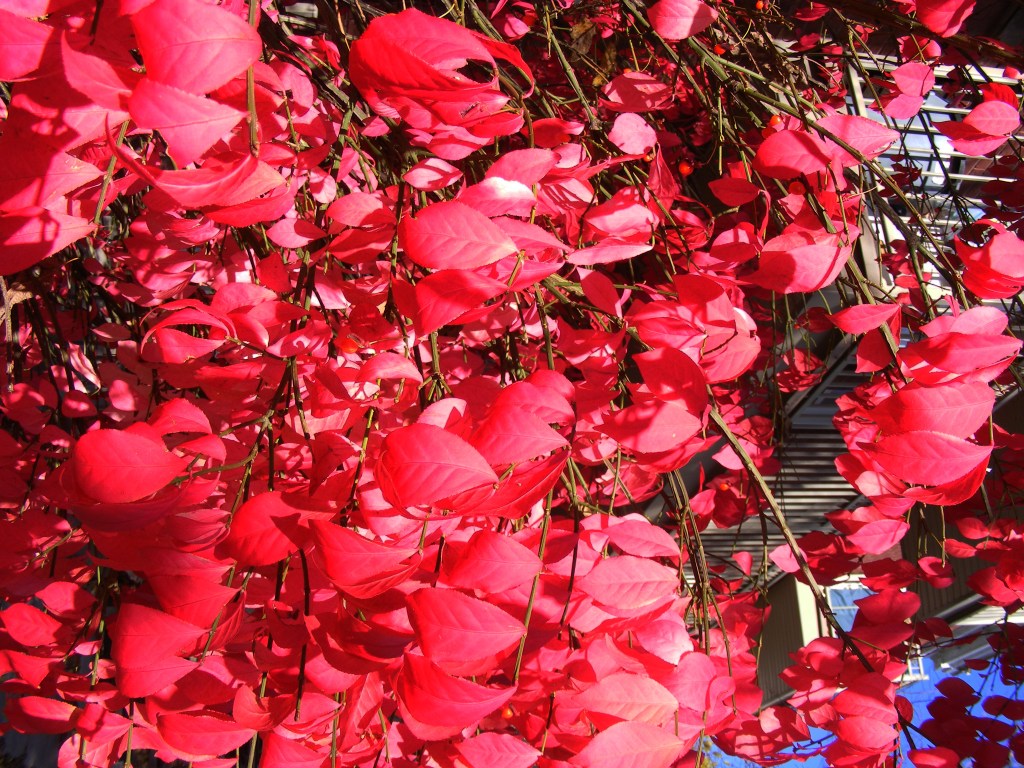 Songs for energy and&nbsp;inspiration