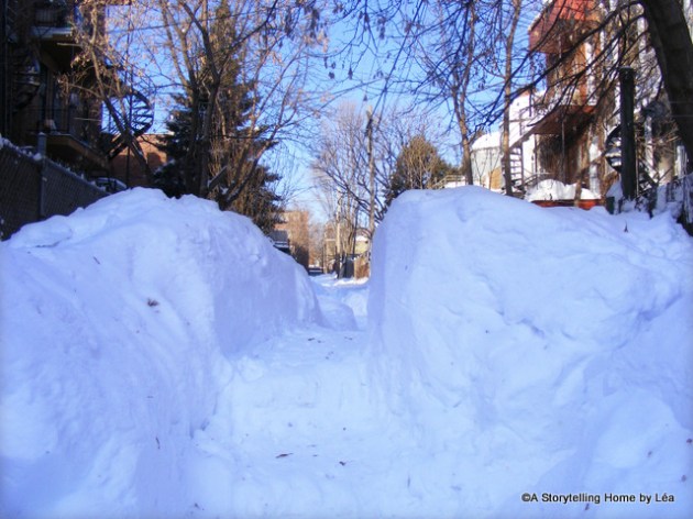 Snow in the back alleys, Montreal