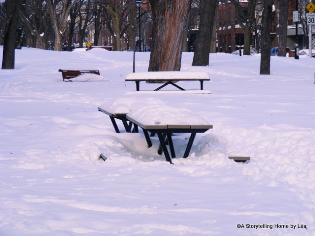 Snowy picnic tables at Parc Laurier