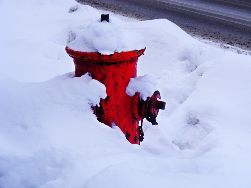 After the storm: Quirky photos of Montreal under the&nbsp;snow