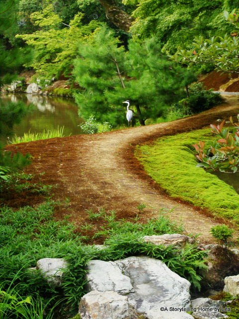 Kinkakuji temple bird