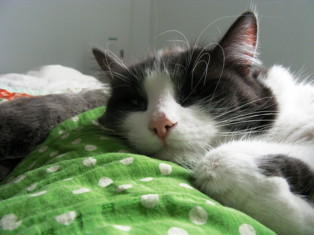 The ingredients of a perfect day: simple things that make me&nbsp;happy