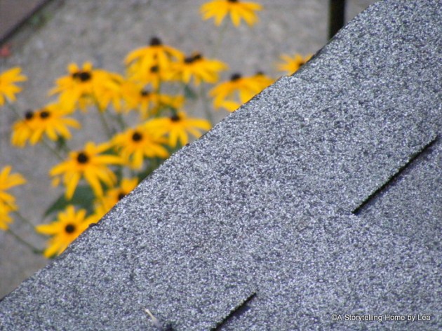 2008_0224straotherandmontreal0028