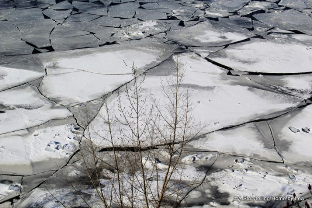 Ice Saint-Lawrence river Montreal