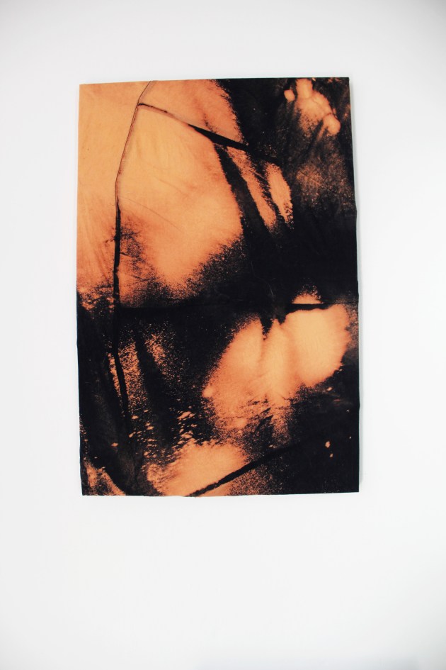 DIY bleach fabric art