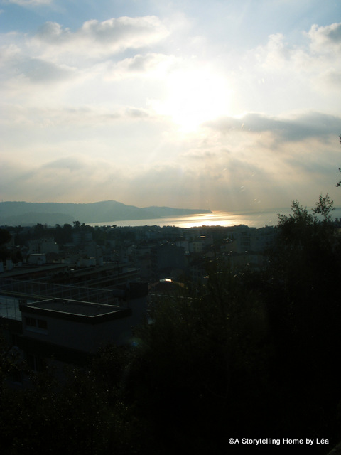 View Nice University