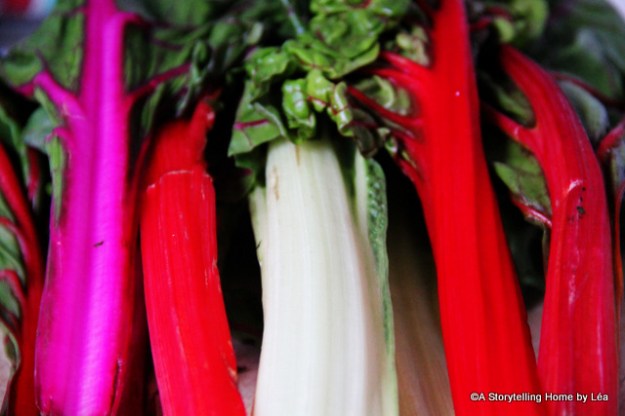 Colorful Stalks Swiss Chard_Lea_A Storytelling Home