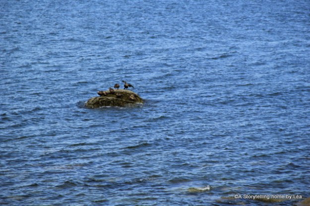 Trois Pistoles Quebec 6_A Storytelling Home_Lea Plourde-Archer