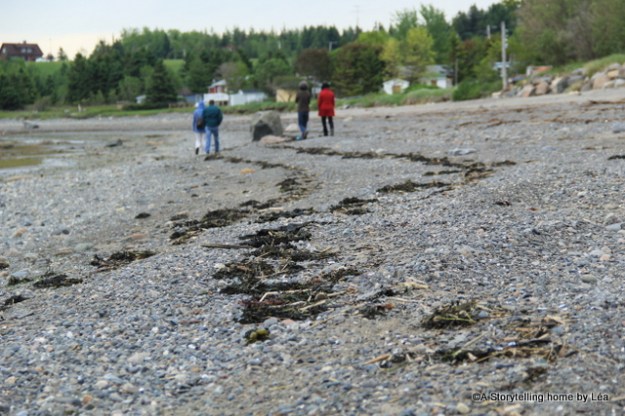 Trois Pistoles Quebec 5_A Storytelling Home_Lea Plourde-Archer