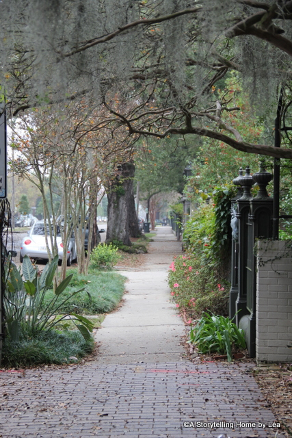 Spanish moss trees New Orleans A Storytelling Home